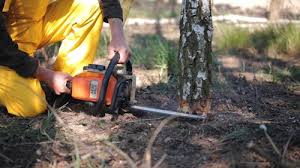 Best Commercial Tree Services  in Carpentersvle, IL